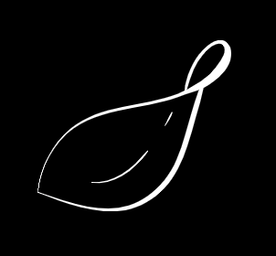 Pasión